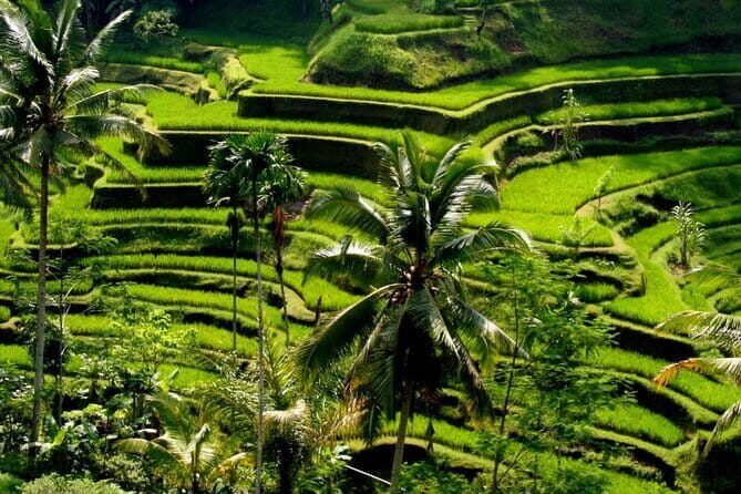 2 Days Mount Batur Sunrise Trekking With Private Ubud Day Tour - Should you book this tour?