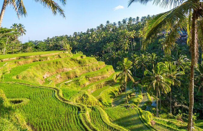 ATV Quad Bike with Kintamani Volcano Tour - All Inclusive - Quick Highlights