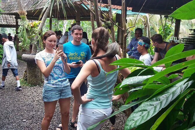 ATV Quad Bike with Kintamani Volcano Tour - All Inclusive - Price and Value: What $60 Covers for an All-Inclusive Day