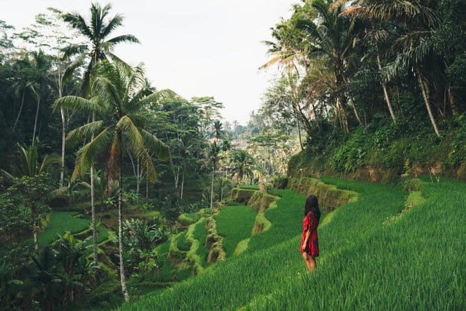 Bali day trip : Batur Sunrise Hike and Hot Spring All inclusive - Batur Natural Hot Spring Over Lake Batur: How the Reset Works