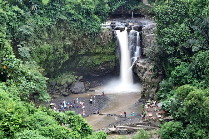 Bali Full-Day Car Charter: Ubud and Kintamani Volcano Tour - The Private Vehicle and Driver-Guide: What You’re Really Paying For