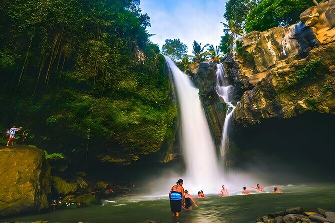 Bali Full-Day Car Charter: Ubud and Kintamani Volcano Trip - Price and logistics: is $40 a good deal?