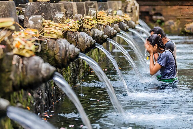 Bali Full-Day Car Charter: Ubud and Kintamani Volcano Trip - Tegalalang Rice Terrace: the story behind the green steps