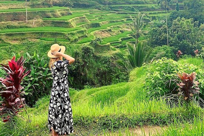 Best of Ubud - Kintamani Volcano View - Private Tour - A One-Day Ubud to Kintamani Route That Feels Like Your Own Plan