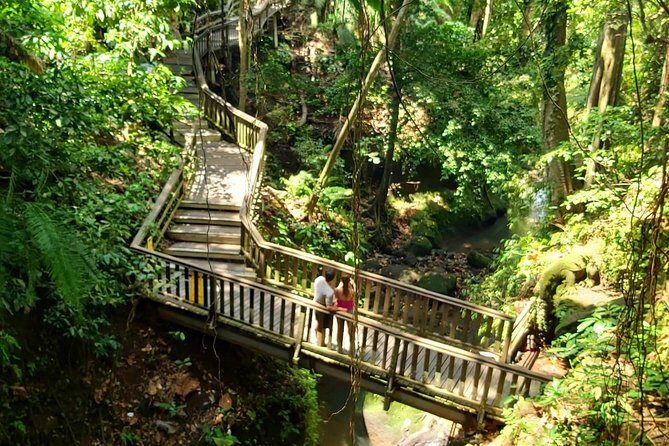 Best of Ubud - Kintamani Volcano View - Private Tour - Price and Value: Why $63 Can Make Sense for a Full Day