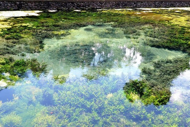 Best of Ubud - Kintamani Volcano View - Private Tour - Penelokan and Kintamani Highland: Panoramic Volcano Views Over Green High Country