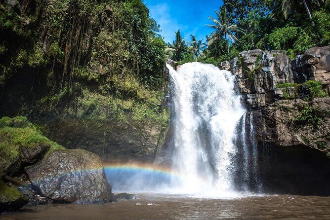 Best Ubud Tour with Instagrammable Jungle Swing all inclusive - The Real Value: One Private Day With Built-In Timing