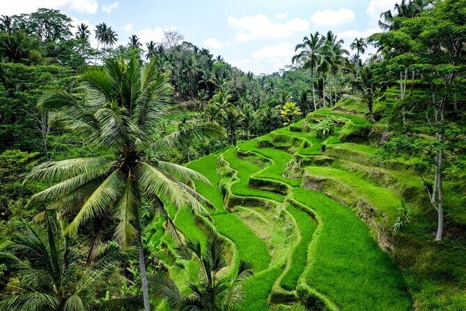 Central Bali Tour: Ubud Village, Kintamani Volcano, and Waterfall - Ubud Palace in 15 Minutes, Then an Hour to Browse the Art Market