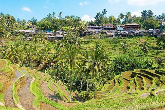 Central Bali Tour: Ubud Village, Kintamani Volcano, and Waterfall - Tegalalang Rice Terraces: Walking Views, Plus Swing and Zip Lining