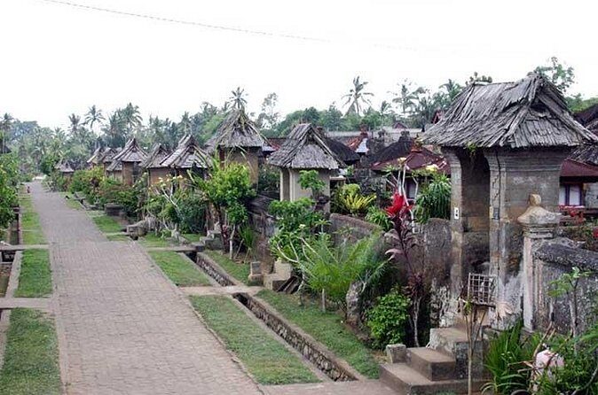 Full Day Kintamani and Penglipuran Village Private Chartered Car Tour from Bali - Price and Logistics: What $65 Includes—and What You’ll Pay On the Day