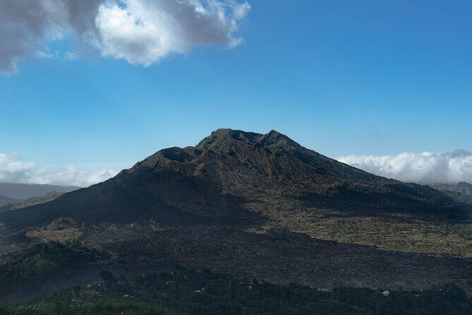 Full Day Kintamani Volcano View and Ancient Penglipuran Village - Penglipuran Village: old house lines and a still-ordered street