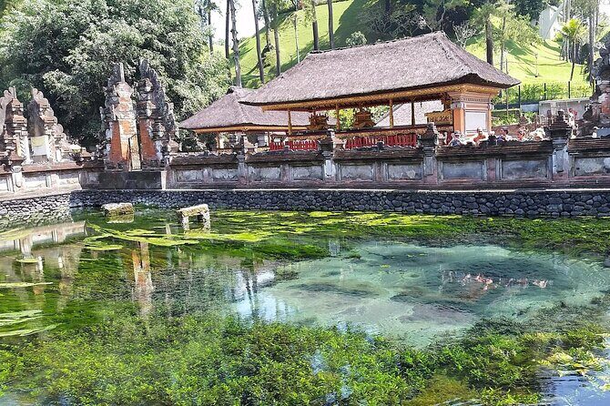 Full Day Kintamani Volcano View and Ubud Village Tour - Buffet Lunch in Kintamani: Mt. Batur Views and a Real Break