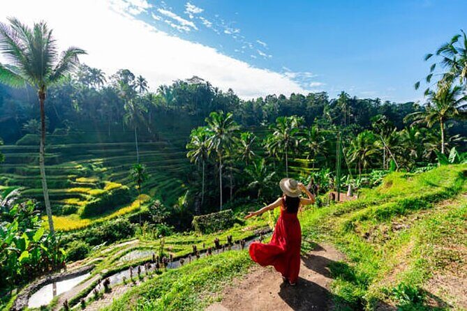 Full Day – Ubud Art Village and Mount Batur Kintamani with Lunch - Price and Value: What You’re Really Buying for $61