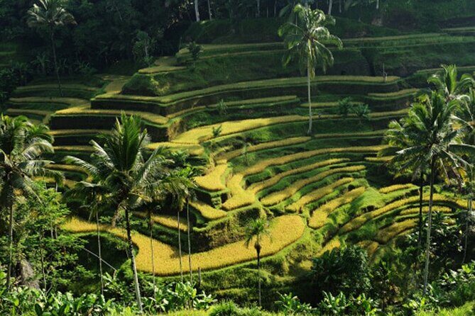 Full Day – Ubud Art Village and Mount Batur Kintamani with Lunch - Puseh Batuan Temple and the Kori Agung Gate: Temple Architecture Up Close