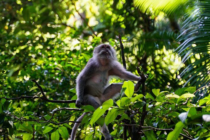 Full Day – Ubud Art Village and Mount Batur Kintamani with Lunch - Batuan Village Art: Paintings of Gods, Dancers, and Daily Stories