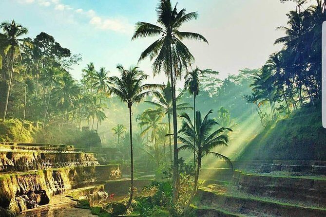 Kintamani and Tukad Cepung Waterfall Tour - Tegalalang Rice Terrace (Near Ubud): What Makes It Worth the Time