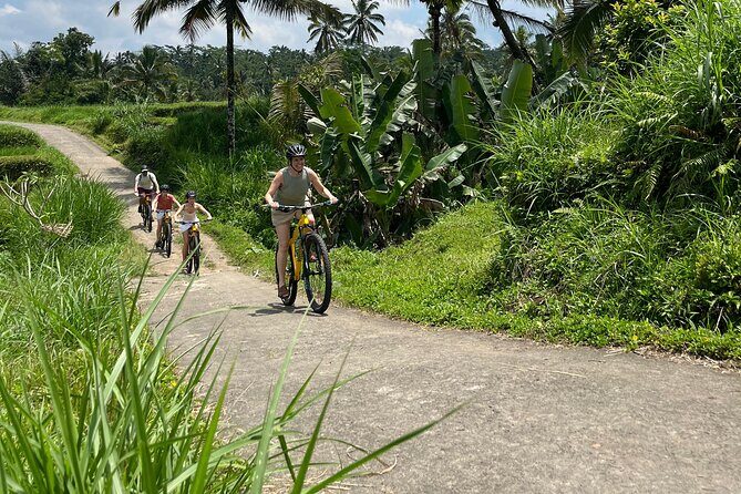Kintamani Down Hill Cycling - The Downhill Ride Through Farms, Forest Paths, and Rice Paddies