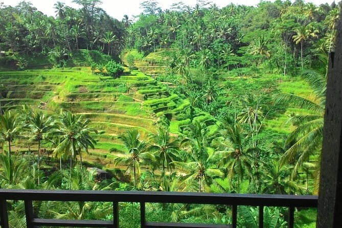 Kintamani Volcano View Tour - Susut: Local Produce, Quick Stops, and Souvenirs You Can Actually Use