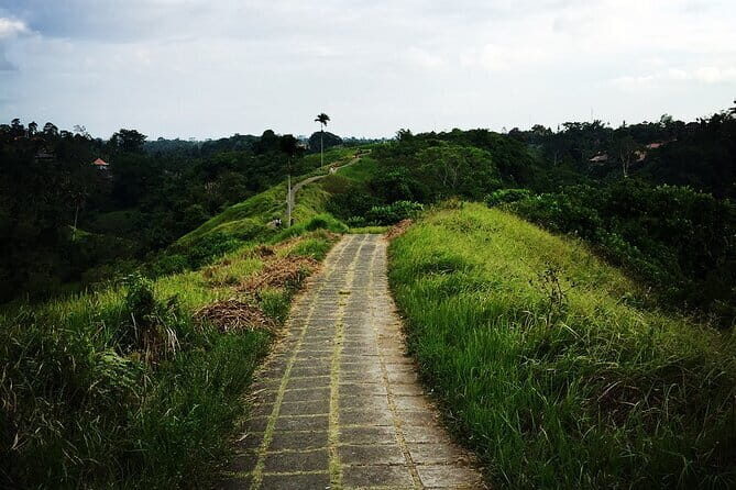 Kintamani Volcano View Tour - Private Transport and Real Control of the Day