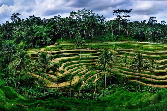 Kintamani Vulcano Tour - Mount Kawi cliff temples: old carvings and dramatic rice-terrace views