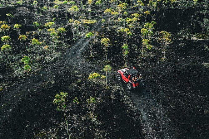 Mount Batur 4WD Jeep, Breakfast and Hot Spring All Inclusive - Breakfast with a view: what’s included and how to use it