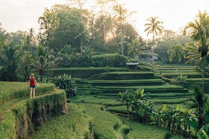 Mount Batur Jeep Tour - Lava flows, caves, and small farms you can actually spot