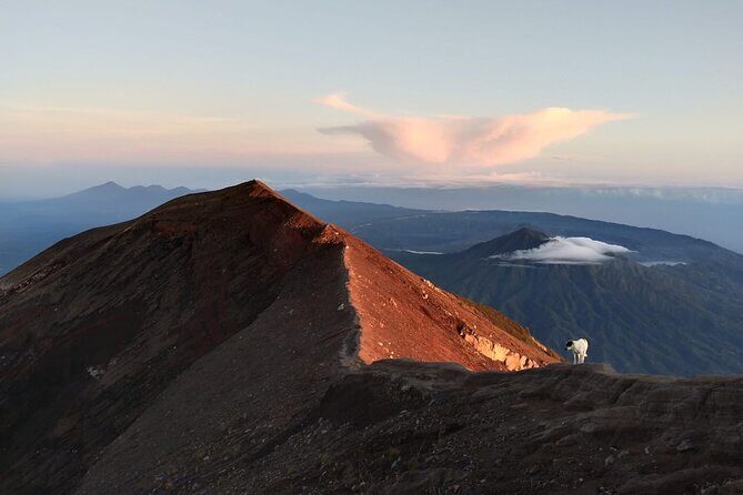 Mount Batur Sunrise Trekking, Hot Springs & Lunch at Restaurant - Stop 1: Mount Batur summit trek and sunrise above the clouds