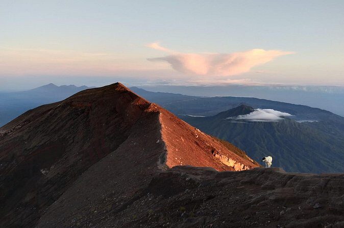 Mount Batur Sunrise Trekking, Hot Springs & Lunch at Restaurant - Stop 3: Buffet lunch at Amora with volcano-lake views