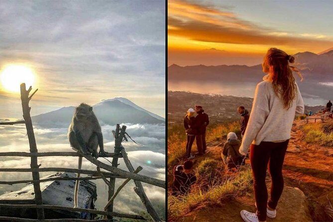 Mount Batur Sunrise Trekking With Guide & Breakfast - The Balinese coffee plantation stop at 11:30am
