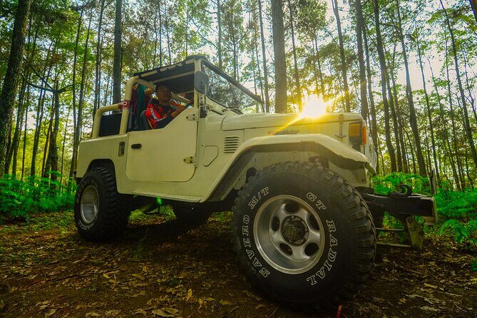 Mount Batur Trekking by 4wd Jeep - The summit hike: short, early, and built for real sunrise views