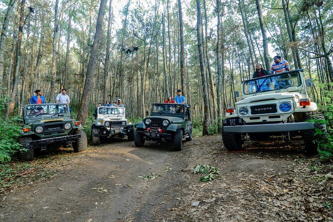 Mount Batur Trekking by 4wd Jeep - 4WD Jeep up Mount Batur: faster climbing, bumpier roads