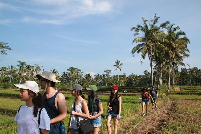 Mt Batur Sunrise Jeep & Natural Hot Spring Tour - Stop 2: Batur Natural Hot Spring and the Lake Views