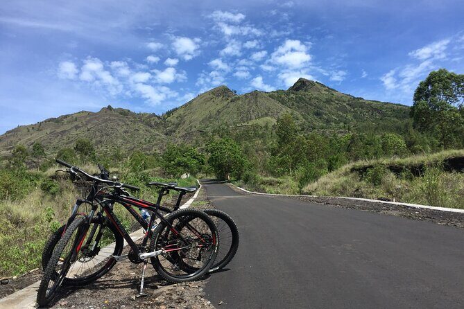 Private Bali Day Tour - Tegalalang - Kintamani and Temple Tour - Tegalalang rice terraces: when the classic Bali view earns its fame