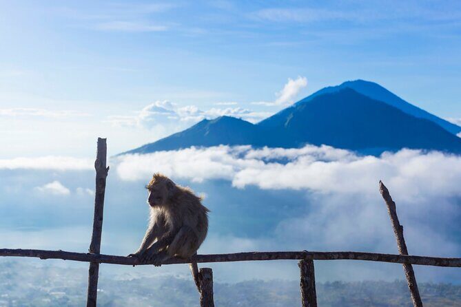 Private Mount Batur Sunrise Trekking Tour - Price and value: is $39 fair for Mount Batur sunrise?