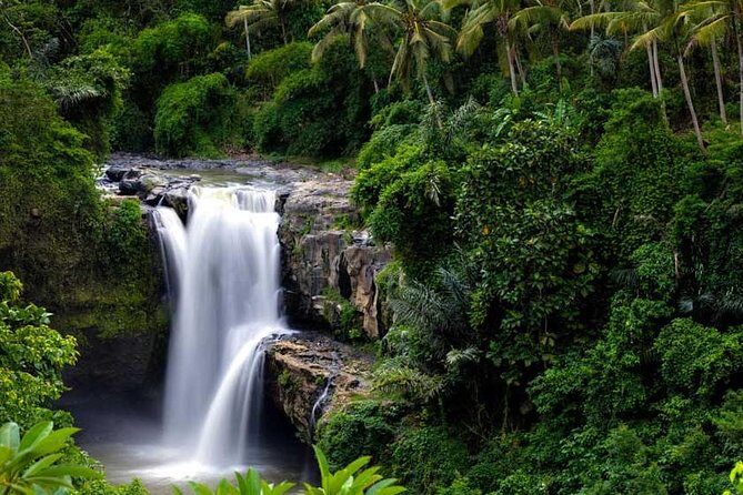 Private Tour - Ubud Kintamani Tours - Private Tour, Real-World Value: What You’re Paying For