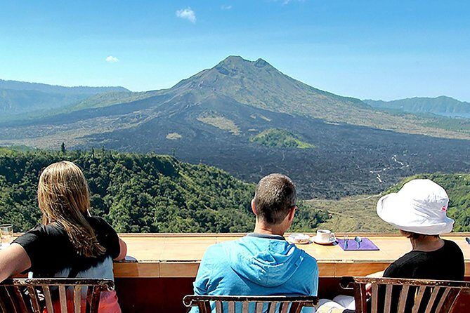 Private Tour: Waterfall, Kintamani Volcano, Ubud Tour with Lunch - Lunch and the value equation (why $65 can make sense)