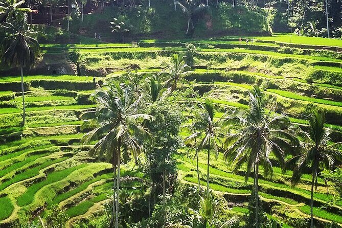 Private ubud tour : Temple Bathing + Mount Batur + Rice Terrace. - How the private format keeps the day from feeling rushed