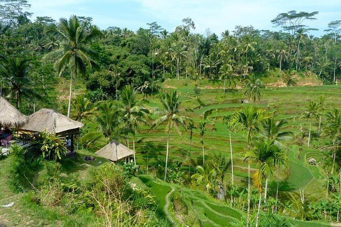 Ubud Combine Mount Batur Kintamani Tour - Barong & Kris dance: mythology you can see and feel