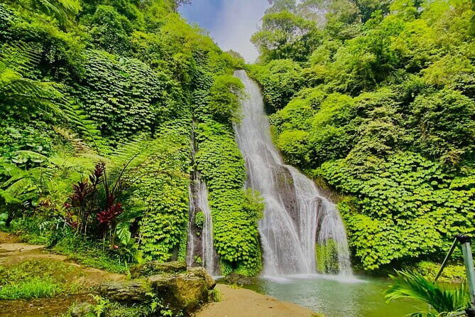 Ubud : Kintamani Downhill Cycling Tour with Lunch - Transportation and comfort: why pickup feels like part of the trip