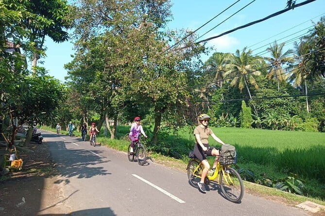 Ubud : Kintamani Downhill Cycling Tour with Lunch - Bicycles and effort level: easy for beginners, still fun