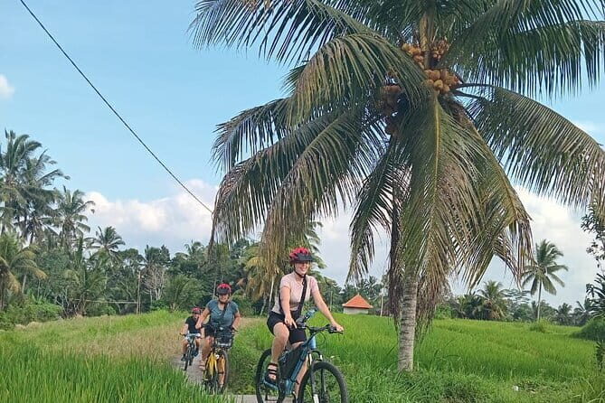 Ubud : Kintamani Downhill Cycling Tour with Lunch - Pura Desa Malet Gusti: school, temple, and family life along the route