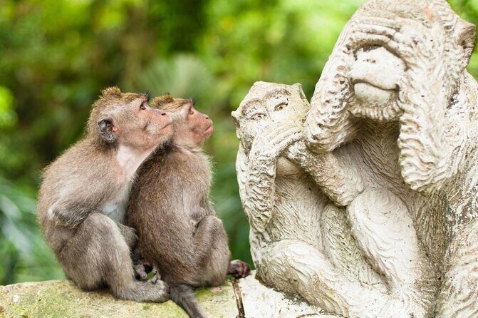 Ubud Natural Gems And Secret Waterfall Private Guided Tour - Key things I’d circle before you book